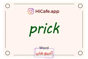 Meaning and usage of prick word