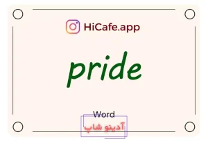 Meaning and usage of pride word