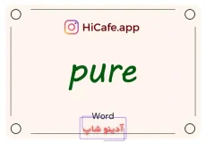 Meaning and usage of pure word