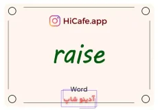 Meaning and usage of raise word