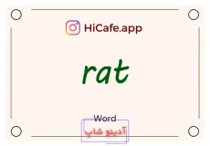 Meaning and usage of rat word