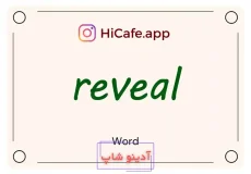 Meaning and usage of reveal word