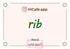 Meaning and usage of rib word