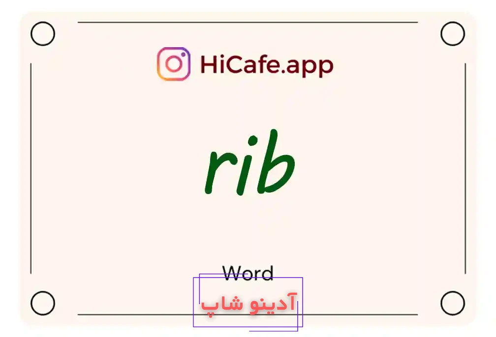 Meaning and usage of rib word