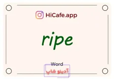 Meaning and usage of ripe word