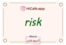 Meaning and usage of risk word