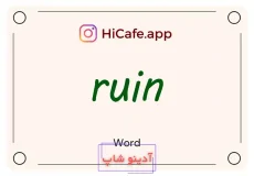 Meaning and usage of ruin word