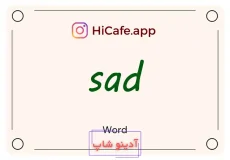 Meaning and usage of sad word