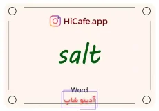 Meaning and usage of salt word