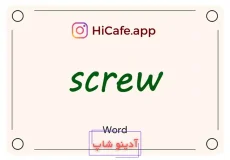 Meaning and usage of screw word