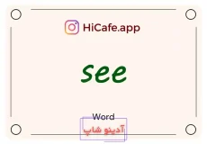 Meaning and usage of see word