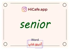 Meaning and usage of senior word