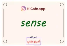 Meaning and usage of sense word