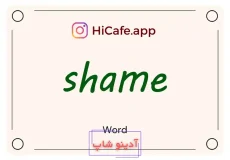 Meaning and usage of shame word