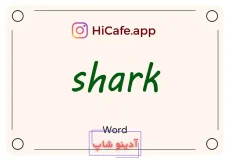Meaning and usage of shark word