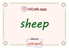 Meaning and usage of sheep word