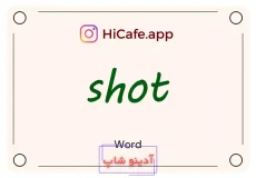 Meaning and usage of shot word