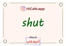 Meaning and usage of shut word