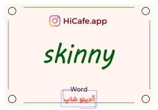 Meaning and usage of skinny word
