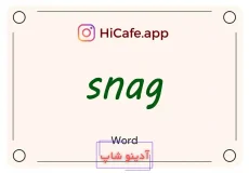 Meaning and usage of snag word