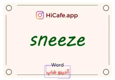 Meaning and usage of sneeze word