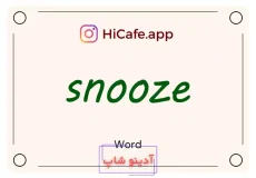 Meaning and usage of snooze word