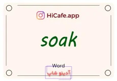 Meaning and usage of soak word