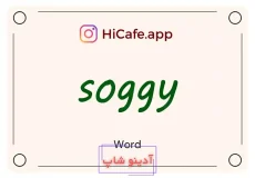 Meaning and usage of soggy word