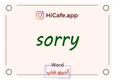 Meaning and usage of sorry word