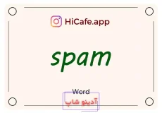 Meaning and usage of spam word