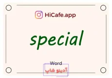 Meaning and usage of special word