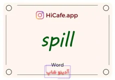 Meaning and usage of spill word