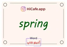 Meaning and usage of spring word