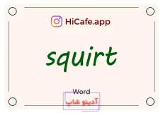 Meaning and usage of squirt word