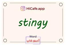 Meaning and usage of stingy word