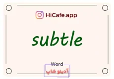 Meaning and usage of subtle word