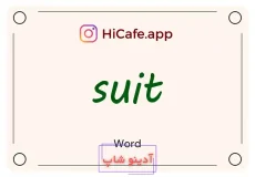 Meaning and usage of suit word