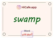 Meaning and usage of swamp word