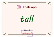Meaning and usage of tall word