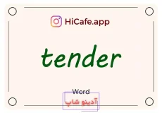 Meaning and usage of tender word