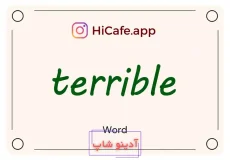 Meaning and usage of terrible word