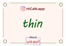 Meaning and usage of thin word