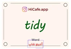 Meaning and usage of tidy word