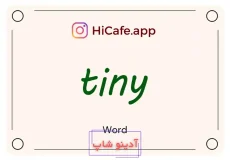 Meaning and usage of tiny word