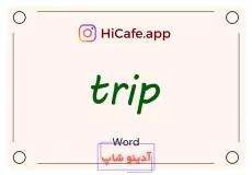 Meaning and usage of trip word