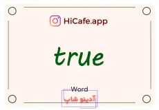 Meaning and usage of true word