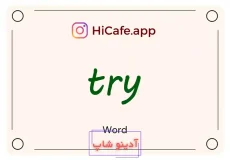 Meaning and usage of try word