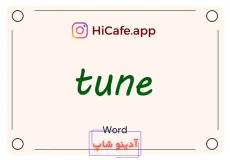 Meaning and usage of tune word