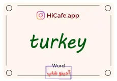Meaning and usage of turkey word