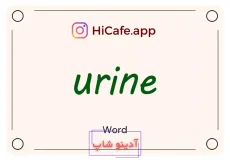 Meaning and usage of urine word